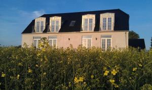 Zahrada ubytování Roskilde B&B