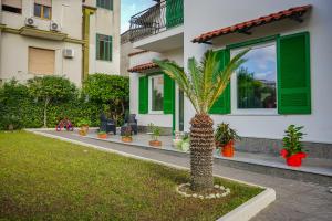a palm tree in a yard in front of a house at B&B Le Canapine in Frattamaggiore
