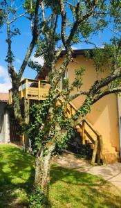 a tree in front of a building with a deck at Location Seignosse in Seignosse