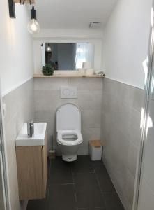 a small bathroom with a toilet and a sink at Location Seignosse in Seignosse