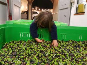 Hosté ubytování Fattoria di Maiano