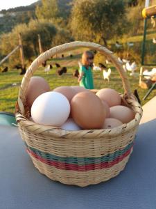 a basket of eggs on a table with a child in the background at Agriturismo Fattoria Di Maiano in Fiesole