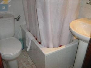 La salle de bains est pourvue de toilettes et d'un rideau de douche. dans l'établissement Hostal Casanova, à Madrid