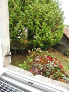 a window view of a garden with a tree at La Lézardière in La Rochefoucauld