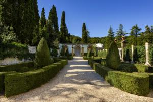 a garden filled with lots of green plants at Torre a Cona Wine Estate in Florence