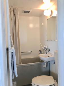 宮古島にあるカーサ　ディ　ブラボーのトイレと洗面台のある小さなバスルーム