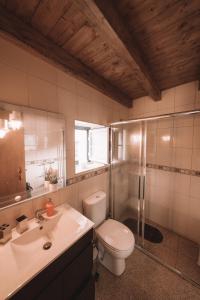 a bathroom with a toilet and a shower and a sink at Casas de Marvão - Casa do Ribeiro in Marvão