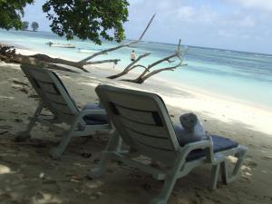 un animal de peluche sentado en una silla en una playa en Le Relax Self Catering Apartment, en La Digue