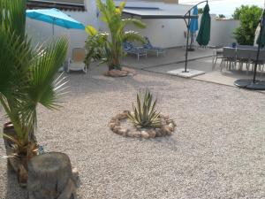 Zdjęcie z galerii obiektu VILLA DOS-LAGOS w mieście Torrevieja