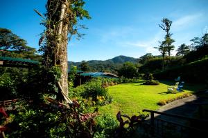 モンテベルデ・コスタリカにあるTrapp Family Lodge Monteverdeの緑の芝生と木のある庭園