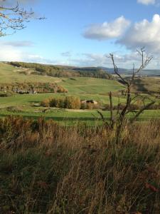 a view of a field with a tree in the grass at Northlees Farm in Perth