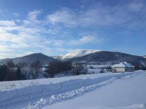 Príroda v okolí apartmánu