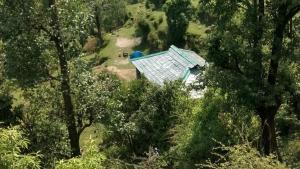 a house with a blue roof in the trees at Ara Camps in McLeod Ganj