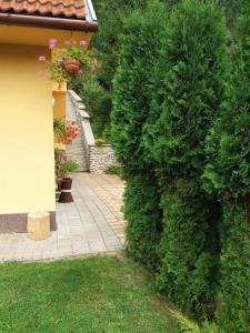 Giardino di Chata Kubko