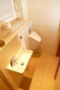 a bathroom with a sink and a toilet at Apartment am Faaker See in Egg am Faaker See