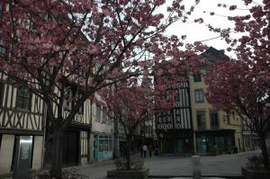 Gallery image of Rouen Quartier St Maclou in Rouen
