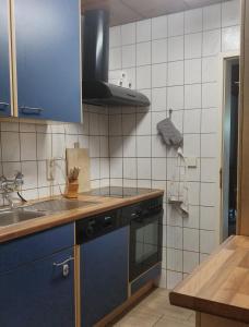 Kuchyň nebo kuchyňský kout v ubytování Wanderhütte Zum Bernhardsthal