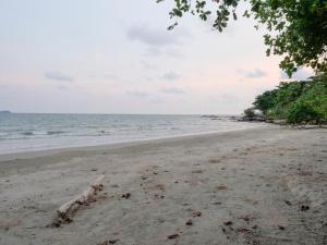 a beach with a tree branch laying on the sand at The Coastal Homes -Family House With Private Beach Quite & Peaceful in Rayong