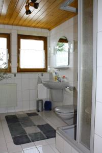 a bathroom with a toilet and a sink at Ferienwohnung Luise in Trossingen