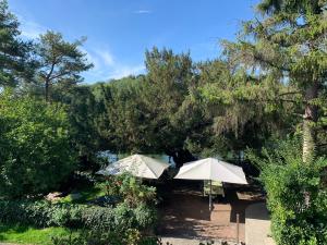 twee witte parasols in een tuin met bomen bij L'Auberge du Port des Roches in Luché-Pringé