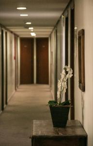 Foto sihtkohas Pouso Alegre asuva majutusasutuse Hotel Ferraz galeriist