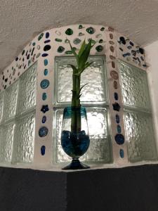 wazon z rośliną przed oknem w obiekcie Estancia del Sol w mieście Cabo San Lucas