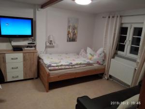 - une chambre avec un lit et une télévision à écran plat dans l'établissement Kleines Gartenhaus am Mahler, à Großschirma