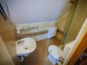 a bathroom with a toilet and a sink at Casa la munte in Bilbor +89 photos