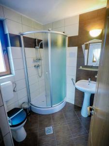 a bathroom with a shower and a toilet and a sink at Casa la munte in Bilbor