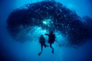 Hosté ubytování Borneo Divers Mabul Resort