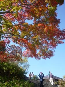 a group of people standing under a tree with autumn leaves at Pension Hana Kirin in Kitashiobara