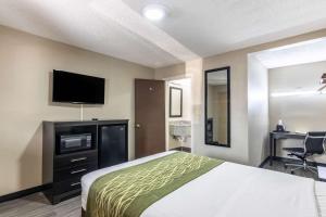 Llit o llits en una habitació de Econo Lodge Opelika
