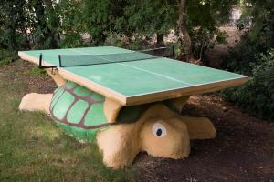Stolní tenis v ubytování Zohar Badeshe nebo okolí