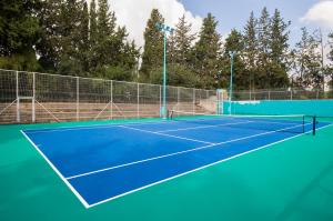 Tenis a/nebo squash v ubytování Zohar Badeshe nebo okolí