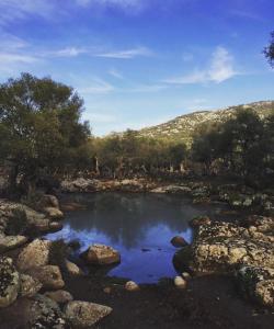 a small pool of water with rocks and trees at Hotel Bia Maore in Baunei