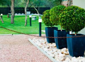 Photo de la galerie de l'établissement Rip van Winkel Guest House, à Lephalale 33 autres photos