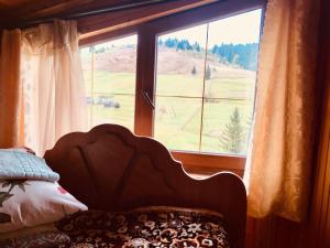 Schlafzimmer mit einem Fenster mit Blick auf ein Feld in der Unterkunft U Daryny in Jablunyzja