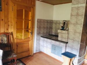 Η κουζίνα ή μικρή κουζίνα στο U Daryny +25 φωτογραφίες