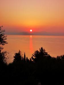 a sunset over the water with trees in the foreground at Nikoli Apartments in Benitses