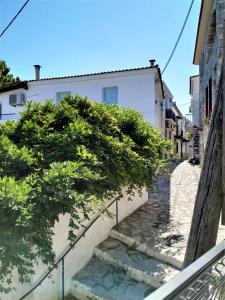 The surrounding neighborhood or a neighborhood close to a vendégházakat