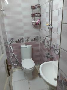 La salle de bains est pourvue de toilettes et d'un lavabo. dans l'établissement Otasho Nile view house, à Assouan