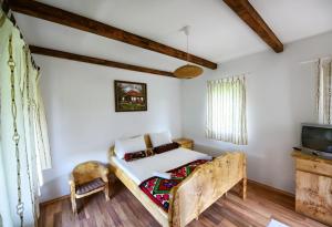 1 dormitorio con 1 cama y TV en una habitación en Etno selo Moj Zavičaj, en Gornji Milanovac