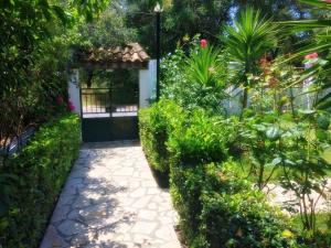 a garden with a gate and a walkway with plants at TO PATRIKO - APARTMENTS FOR RENT in Igoumenitsa