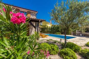 Dobrinj的住宿－藍色常春藤度假屋，一座带游泳池和花园的别墅