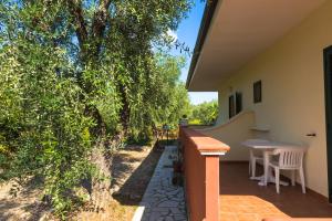 Zahrada ubytování B&B Uliveto del Gargano