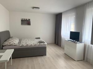 um quarto com uma cama e uma secretária com uma televisão em Modern apartment in the city center em Plzeň
