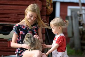 Una joven está sosteniendo un koala de peluche en Maatilamatkailu Ilomäki en Peräseinäjoki