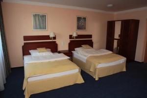 a hotel room with two beds in a room at Penzion Mova in Kadaň