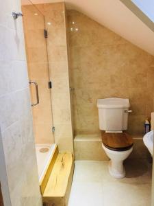 a bathroom with a toilet and a shower and a sink at 75 High Street in Melbourne