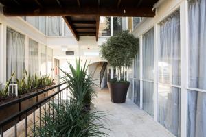 pusty korytarz w budynku z roślinami w obiekcie Jaffa Garden boutique w Tel Awiwie